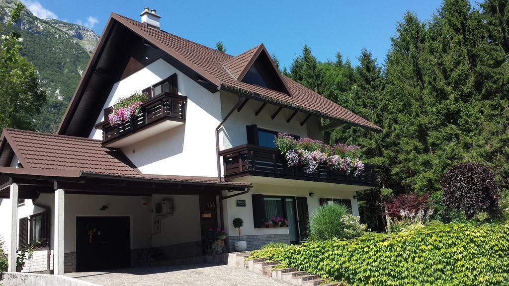 Homestay Ostan بوويتش المظهر الخارجي الصورة